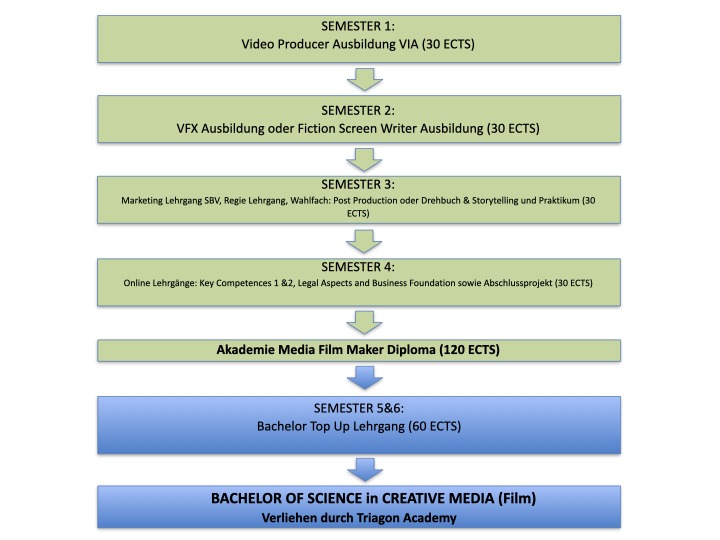 Film Studium Ablauf